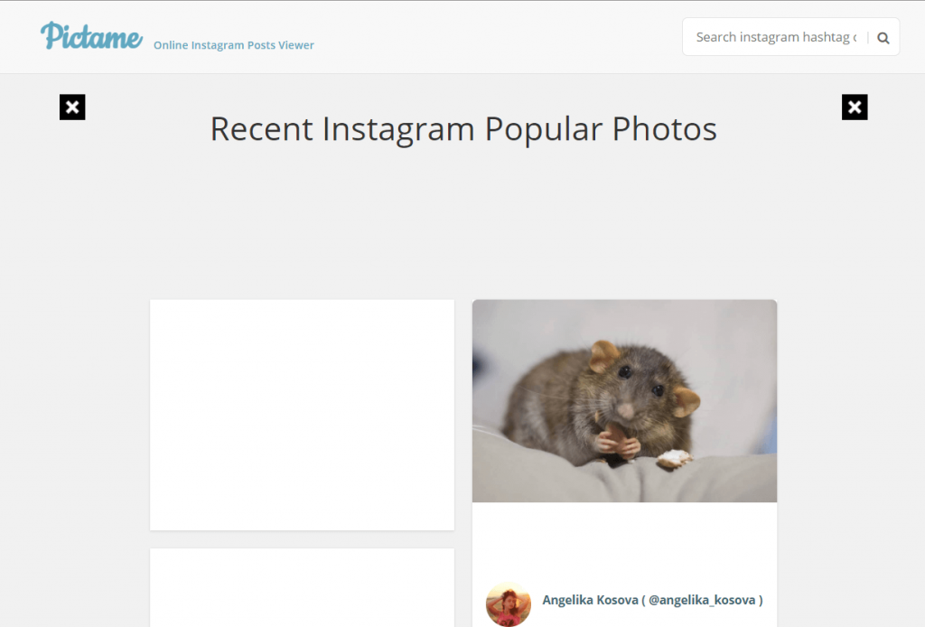 pictame instagram viewer