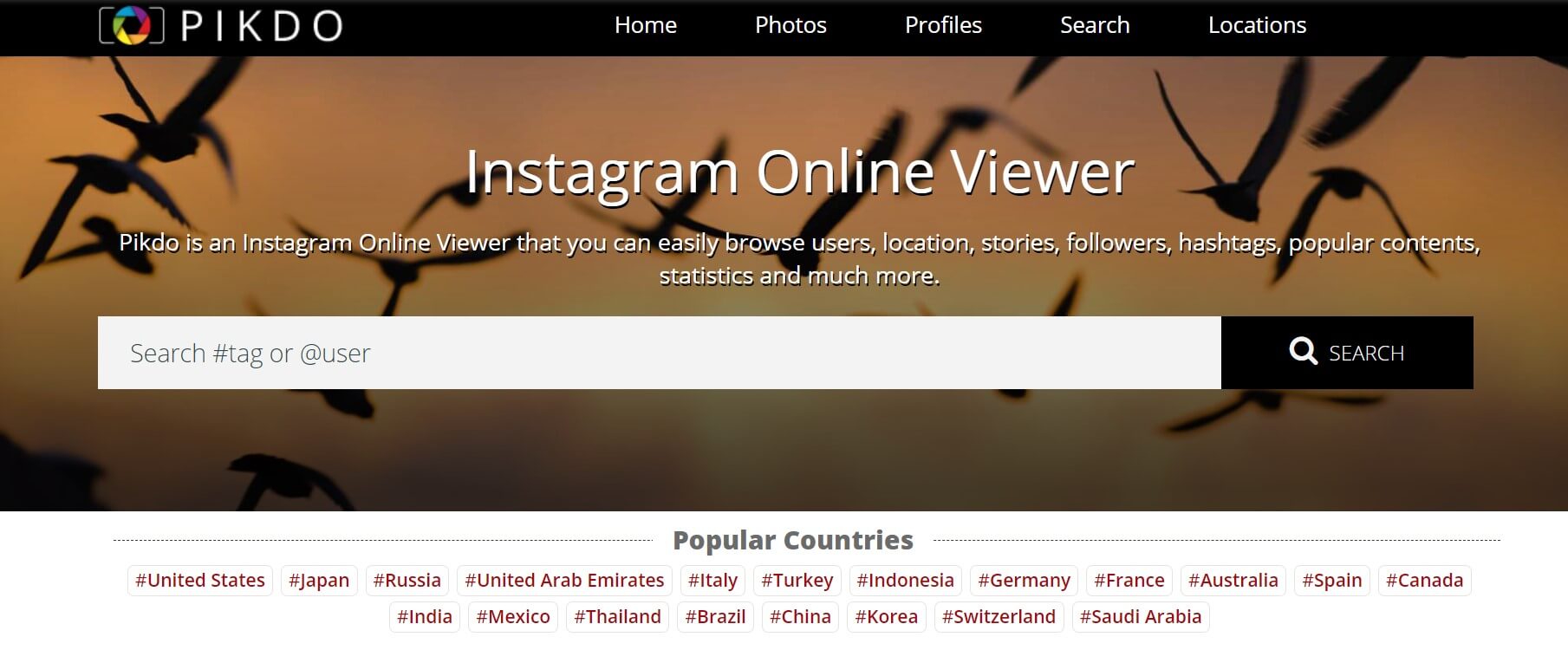 #Pikdo Instagram Viewer: What is Pikdo, its features, and alternatives?