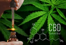 Cannabis And CBD