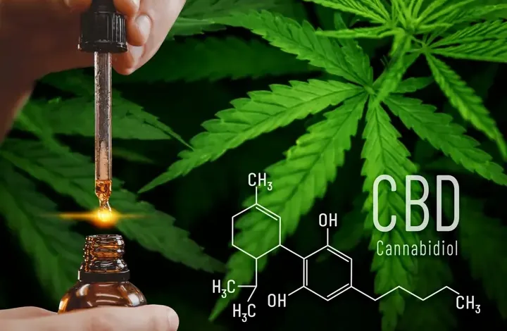 Cannabis And CBD