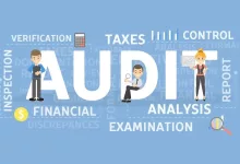 What is a Tax Audit ?