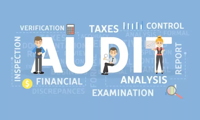 What is a Tax Audit ?