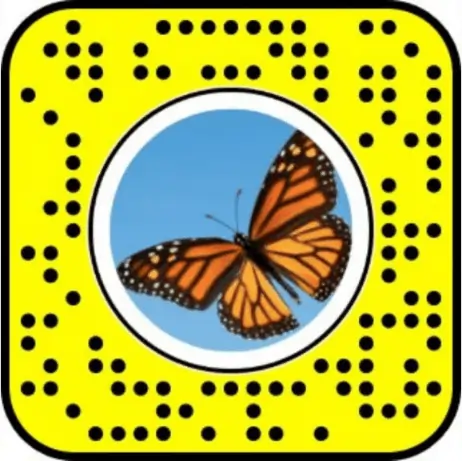 Use the Lens Snapcode