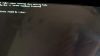 How to Fix A fatal error occurred when running fusee